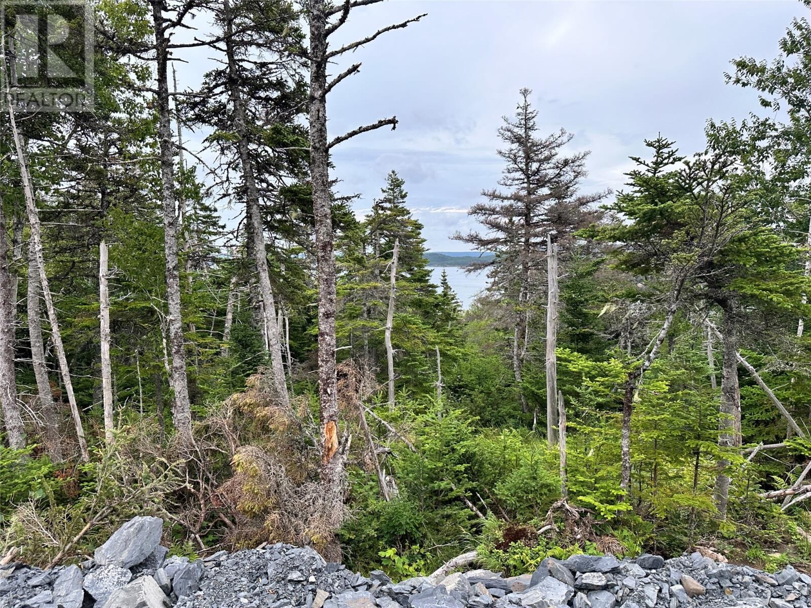Property Photo:  9-10 Pikes Road  NL A0B 2W0 