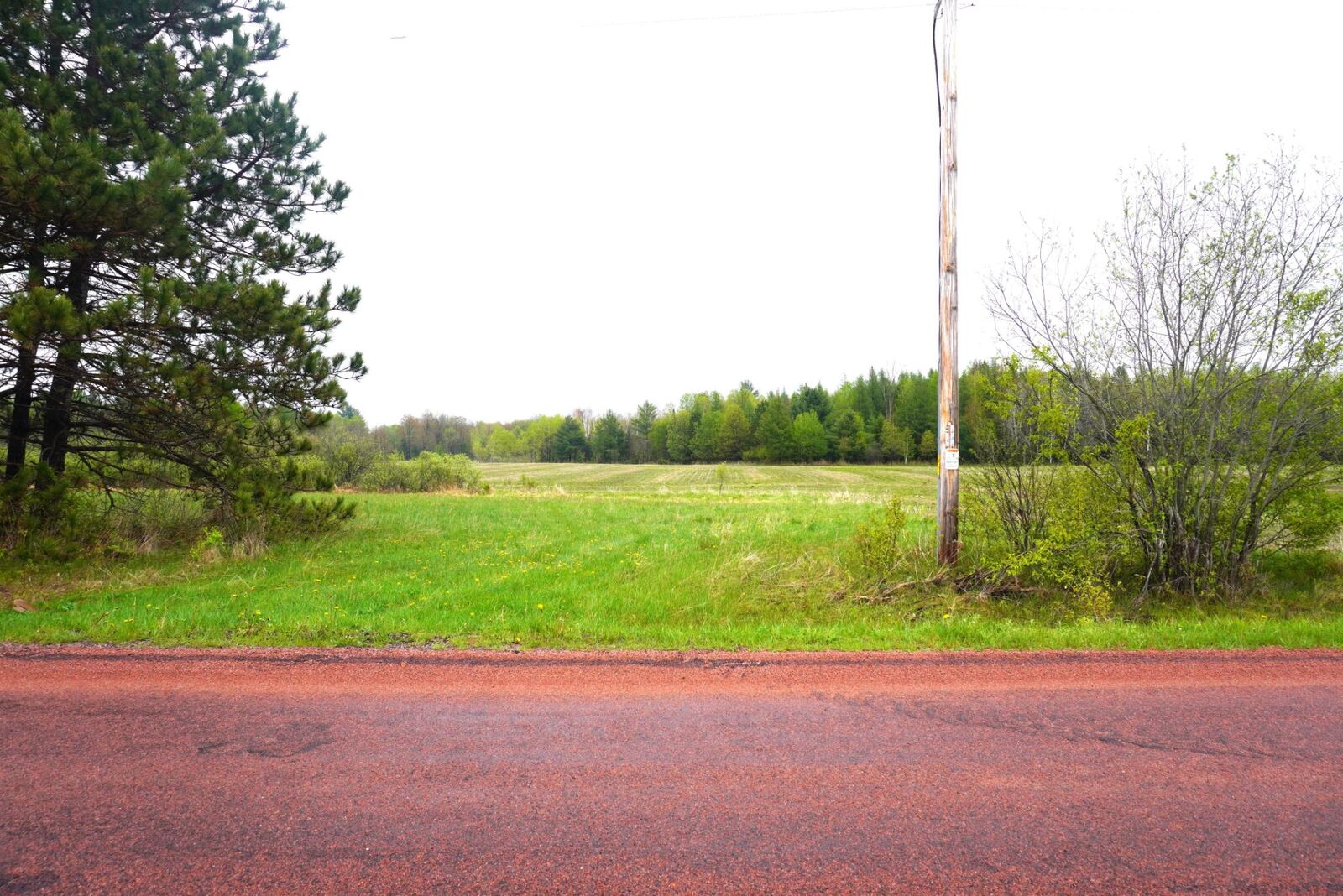 Property Photo: 20 Acres Bradley St WI 54435