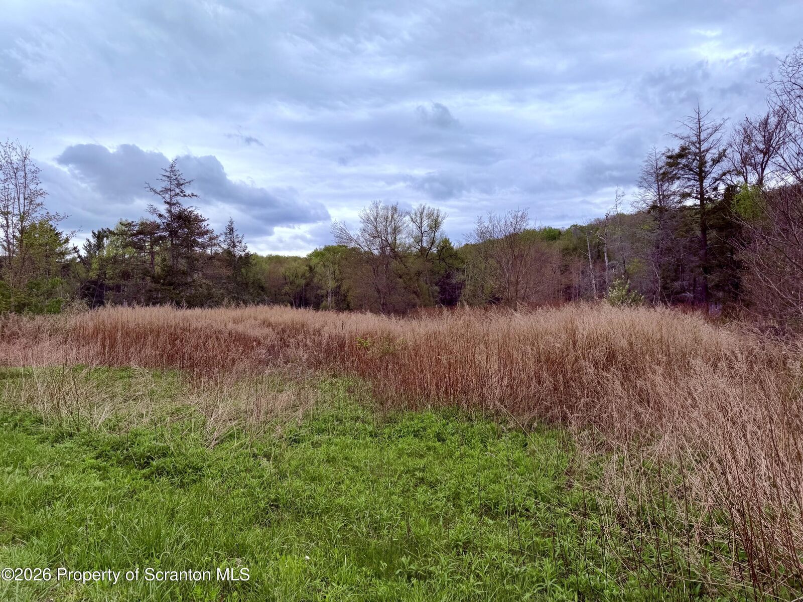 Property Photo:  1183 Heart Lake  PA 18433 
