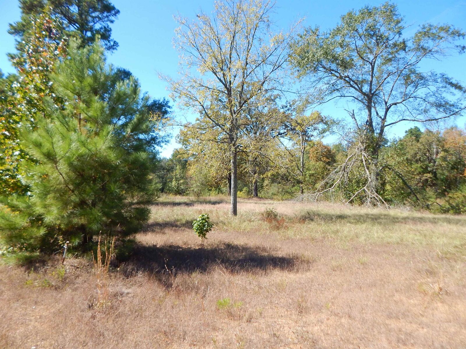 Property Photo:  Tbd 3.5 Acres Hwy 155  TX 75644 