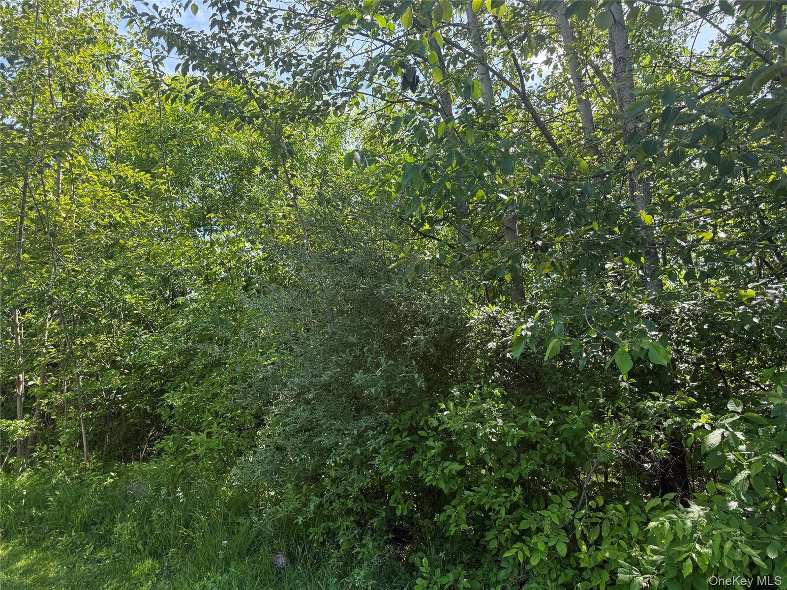 Property Photo:  Tbd Hawleys Corners  NY 12528 