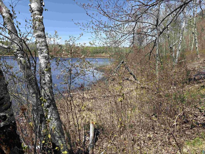 Property Photo:  854X W Chub Lake Rd  MN 55718 