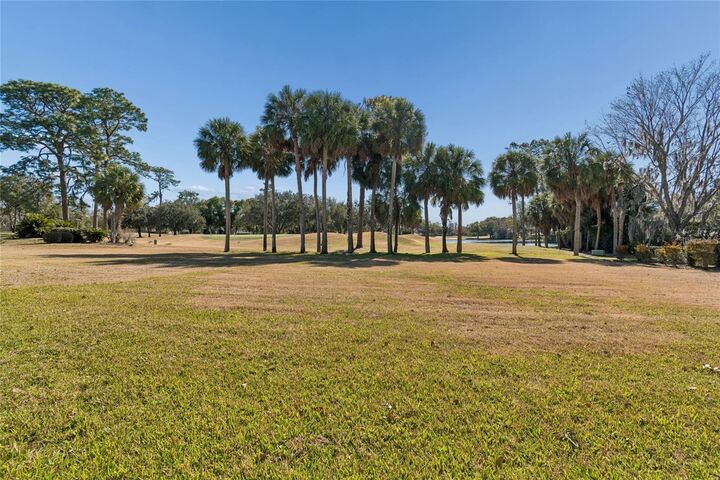 Property Photo:  29244 Whipporwill Lane  FL 33543 