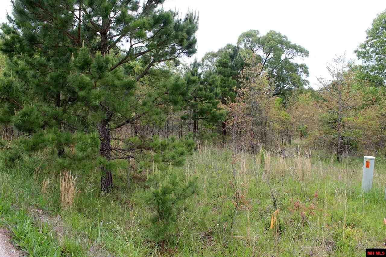 Property Photo: Lot 25 Farmer Circle AR 72653