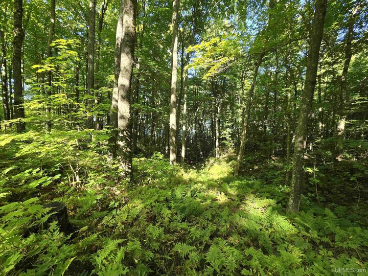 Property Photo: Unit 12 Redridge Creek Road MI 49905