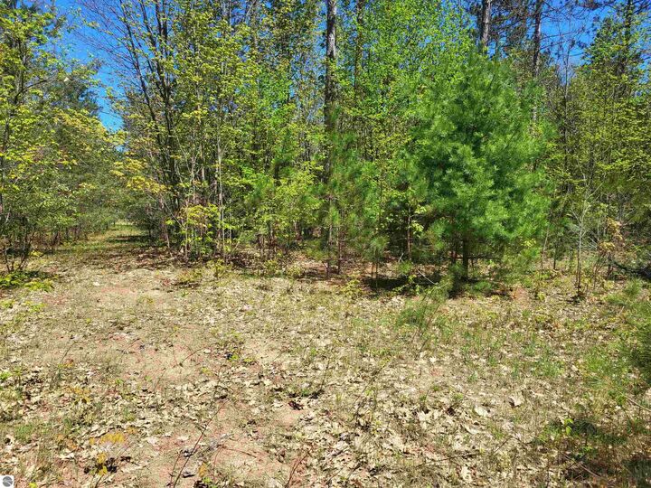 Property Photo:  00 N Hulbert Road  MI 49643 
