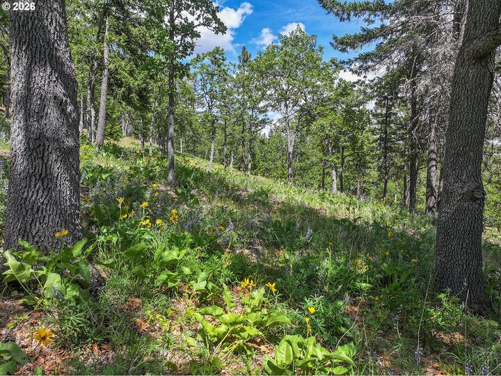 Property Photo:  Thompson Trail  WA 98620 