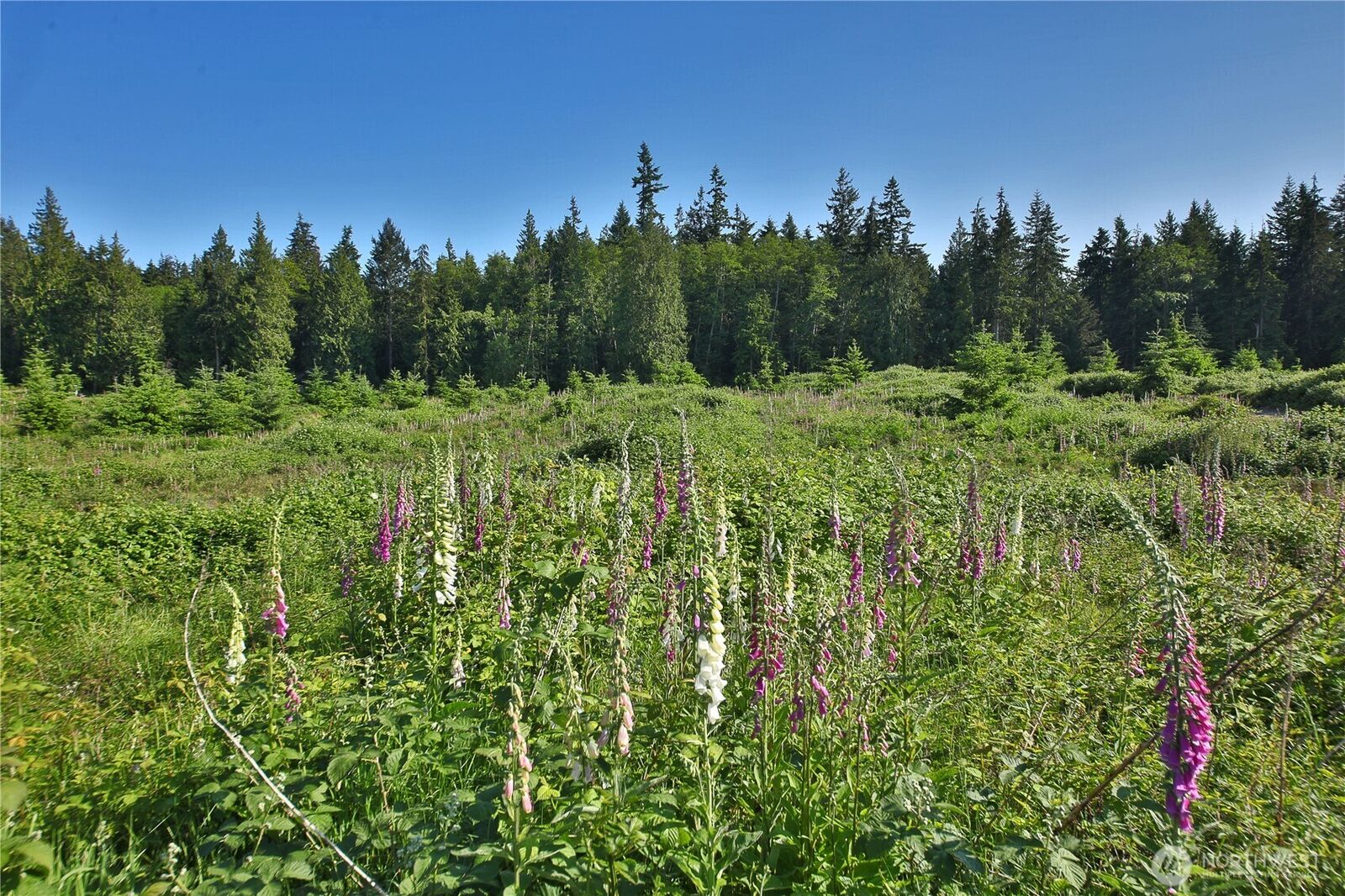 Property Photo:  2062  Goodell Road  WA 98249 