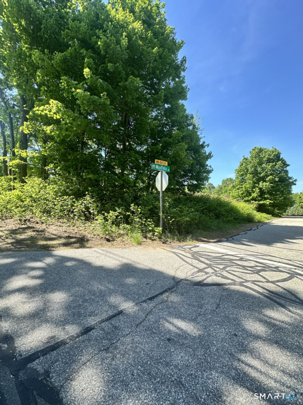 Property Photo:  Maxfelix Drive  CT 06268 