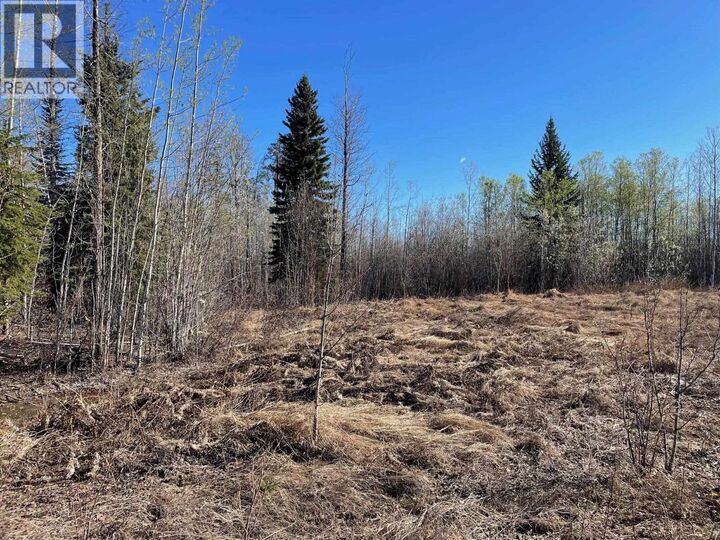 Property Photo:  Lot 4 McConachie Creek Road  BC V0C 1R0 