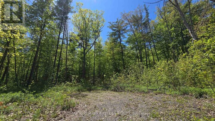 Property Photo:  N/A County Road 30  ON K0L 1L0 