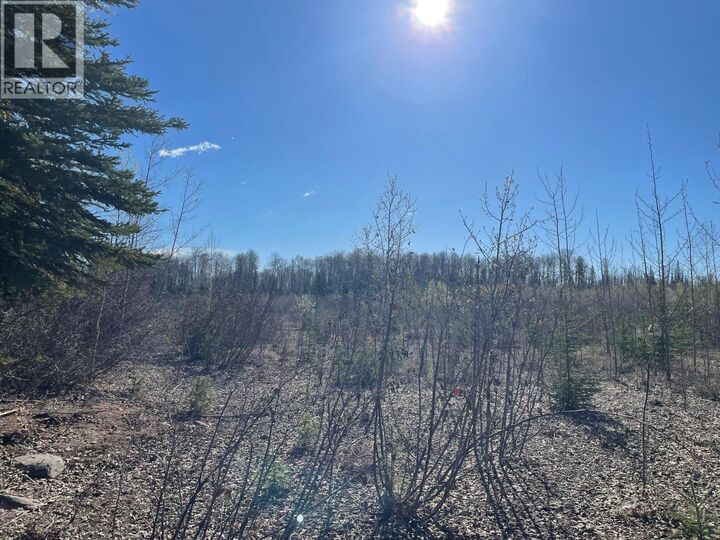 Property Photo:  170 McConachie Creek Road  BC V0C 1R0 