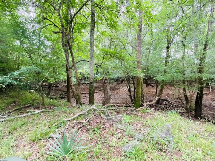 Property Photo:  4744 Abbeville Hwy  GA 31077 