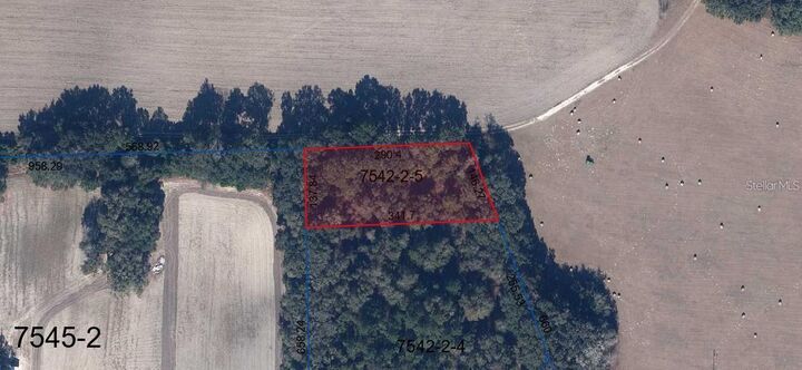 Property Photo:  St Rd 235  FL 32622 