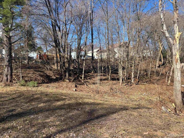 Property Photo: Tbd 2 And 3 L Avenue MI 49934