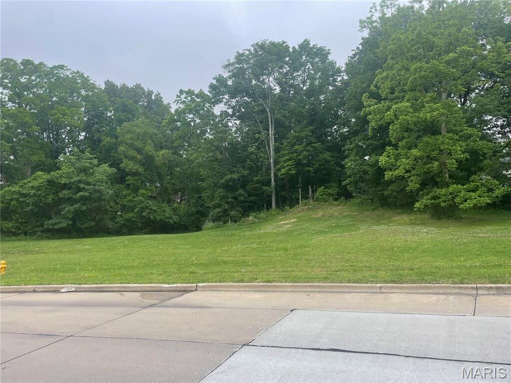 Property Photo:  2124 Kent Drive  MO 63701 