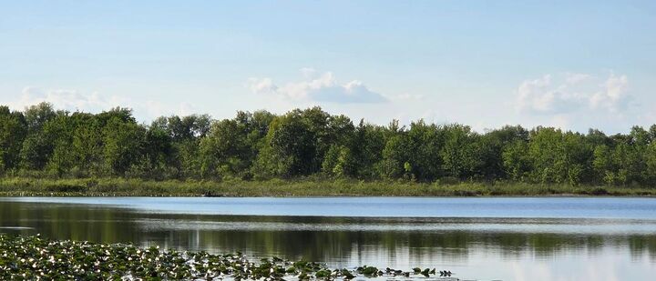 Property Photo:  N Drive S  MI 49029 