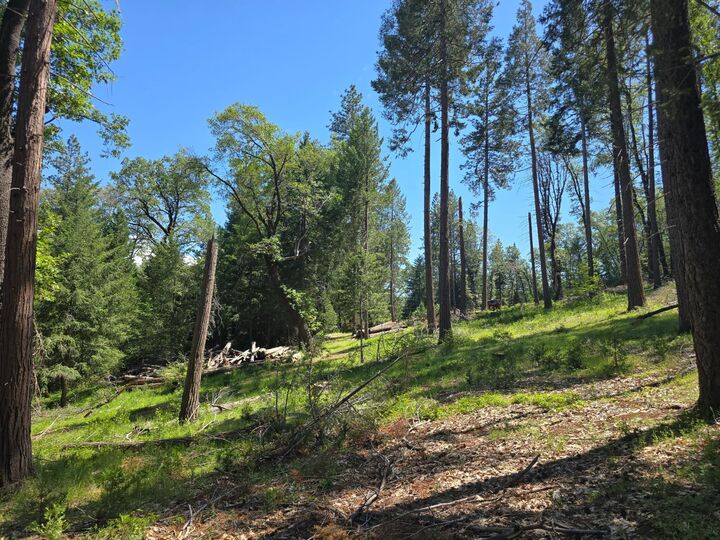 Property Photo: 14599 Tumbling Creek CA 95959