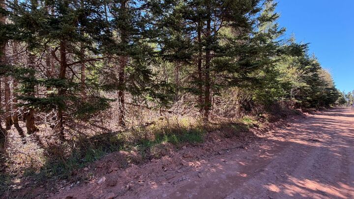 Property Photo:  Lot Dune Road  PE C0B 2B0 