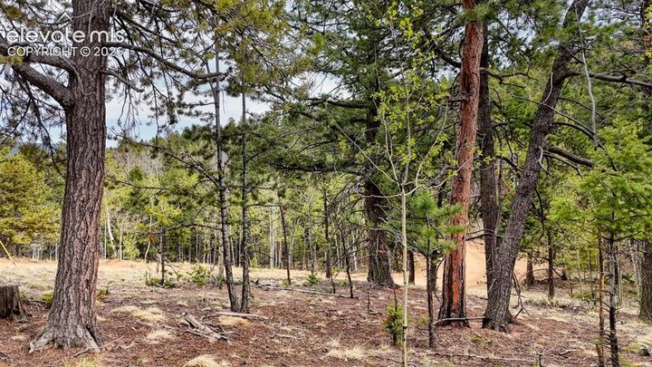 Property Photo: 259 Potlatch Trail CO 80863