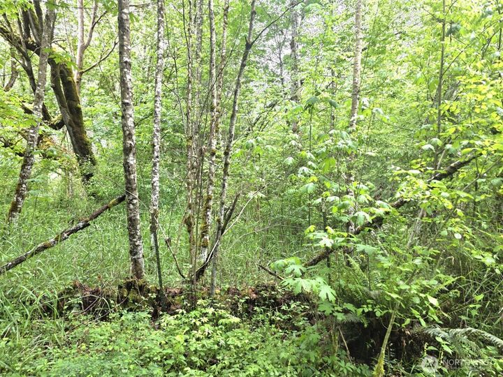 Property Photo: 36610 48th Avenue S WA 98580