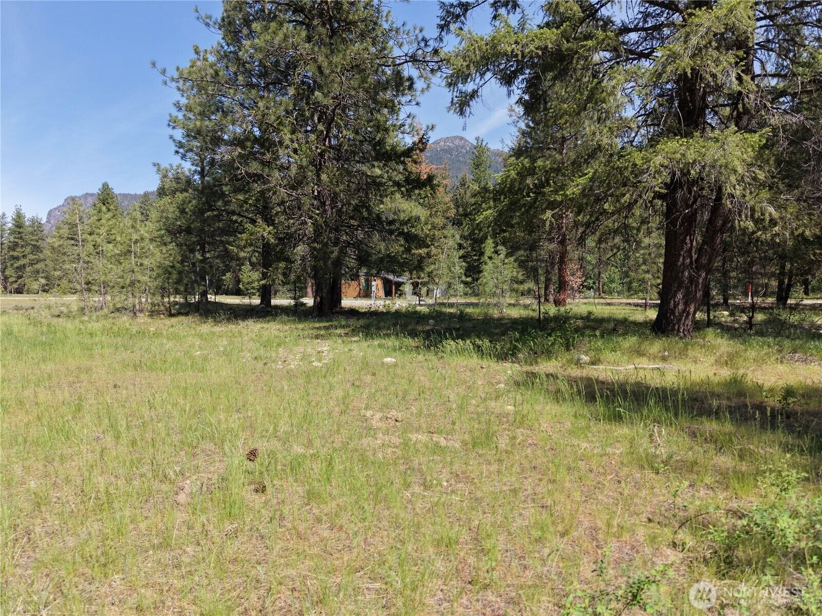 Property Photo:  4  Mazama Meadows Lane  WA 98833 
