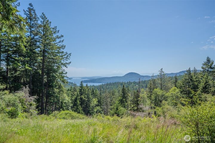 Property Photo: 521 Vusario Lane WA 98245