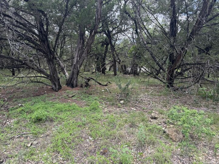Property Photo:  82 Percival  TX 78230 