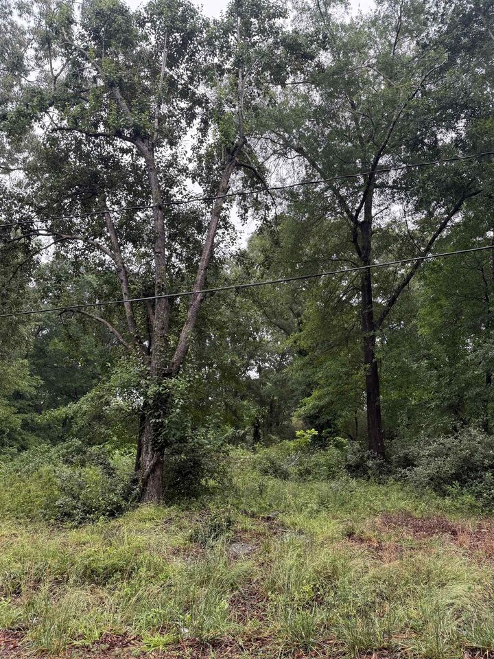 Property Photo: Merle Drive *** SC 29307