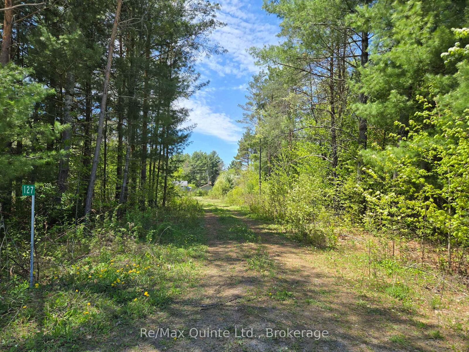 Property Photo:  127 Lloyd Street E  ON K0H 2G0 