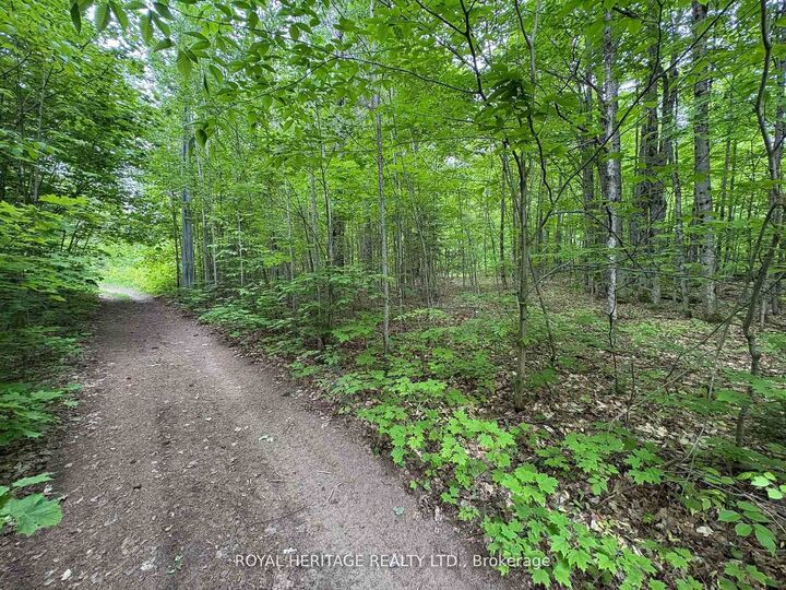 1043 Lawrence Pit Road — photo 1