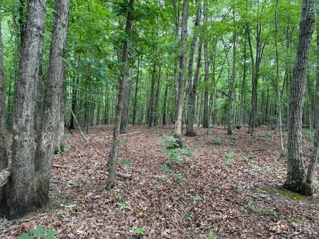 Property Photo:  3 Red Bird Drive  VA 24553 