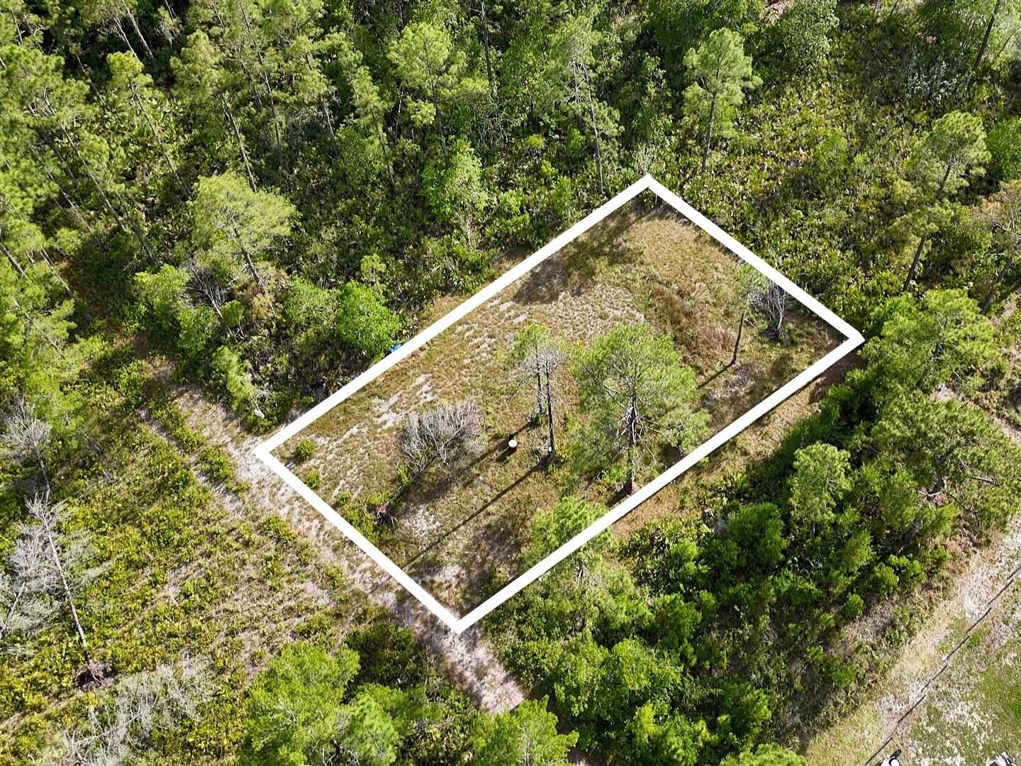 Property Photo:  56309 Virginia Street  FL 32767 