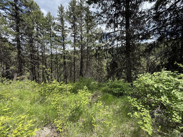 Property Photo:  Tbd Slippery Hill Rd  WA 99166 