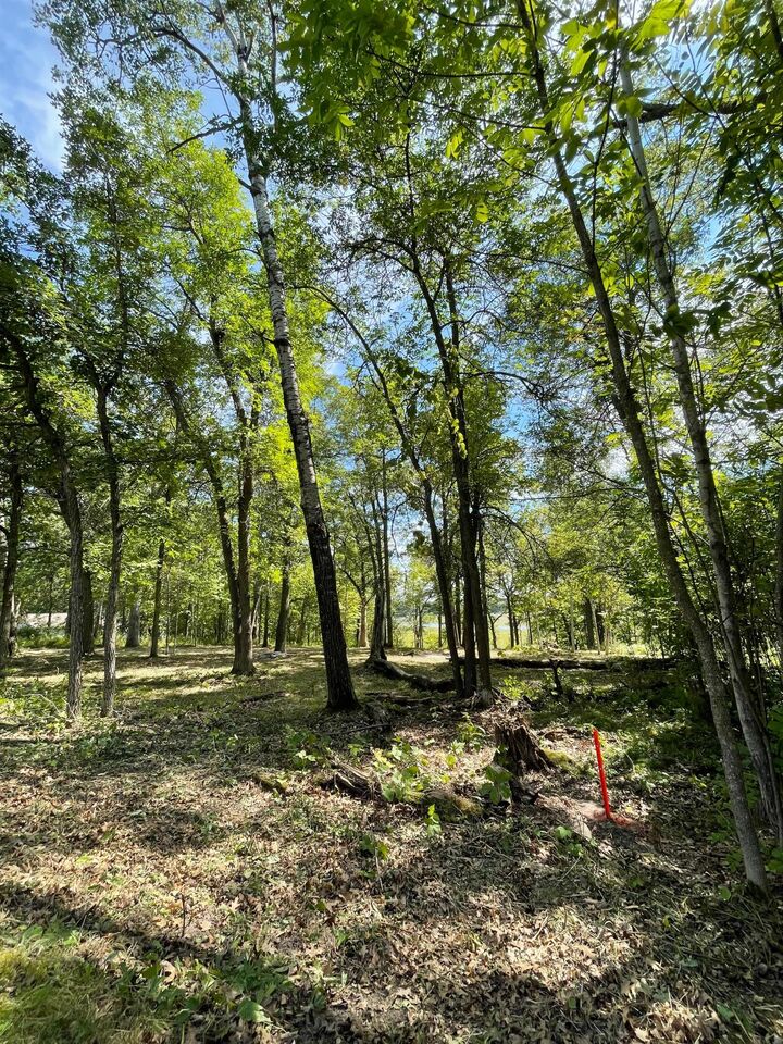 Property Photo:  Tbd Wedgewood Road NW  MN 56484 