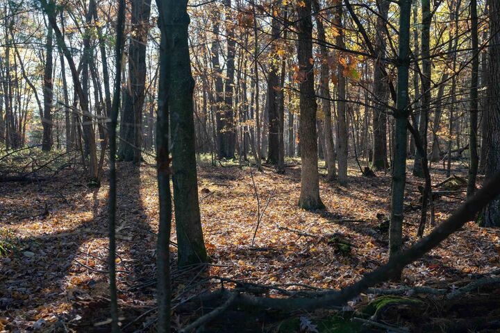 Property Photo:  121 Acres County Highway Et  WI 54660 