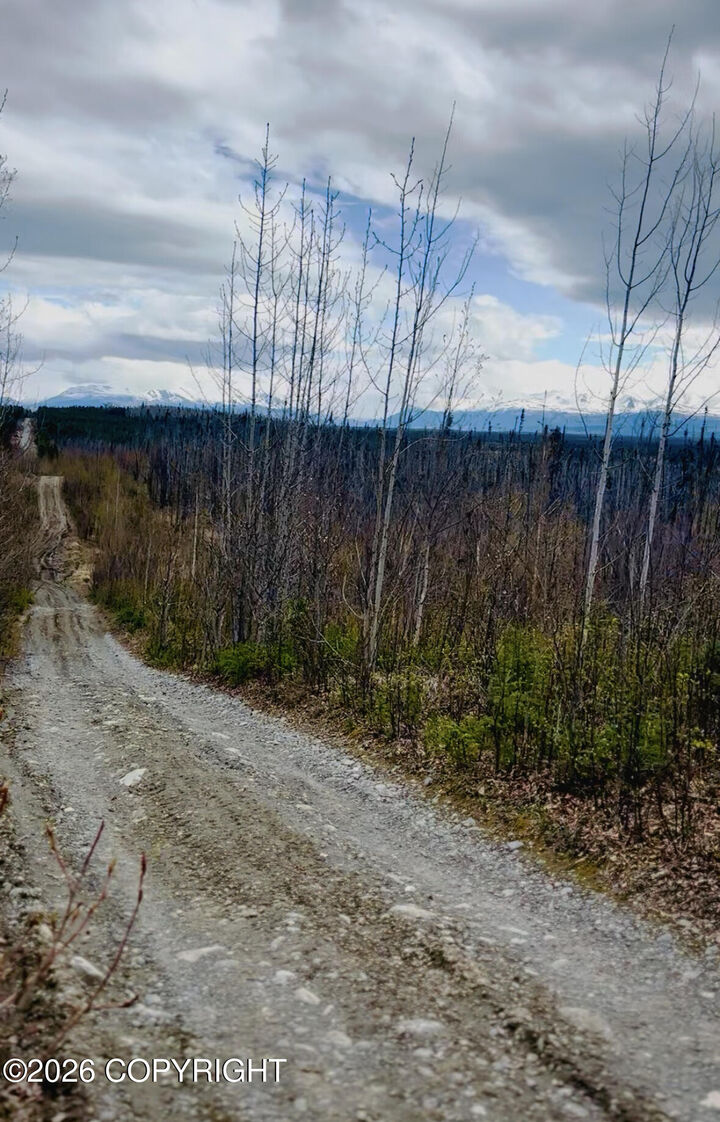 Property Photo: 000 Lake Road AK 99669