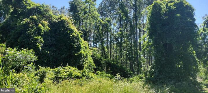 Property Photo: 4064 Back Shelltown Road MD 21838
