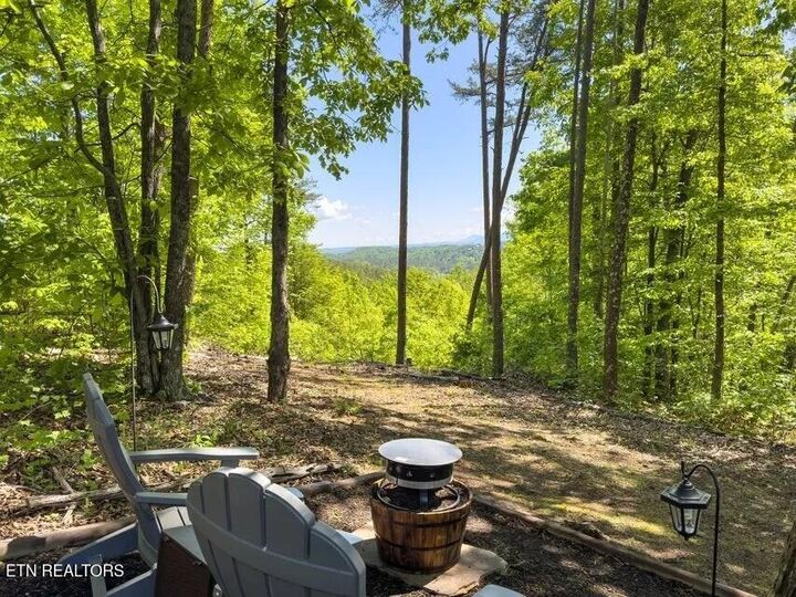 Property Photo:  1654 S Mountain View Rd  TN 37876 