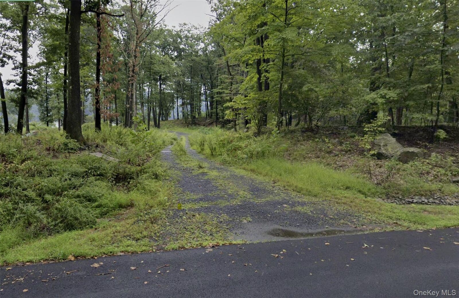 Property Photo:  134 Bellevue Road  NY 12528 