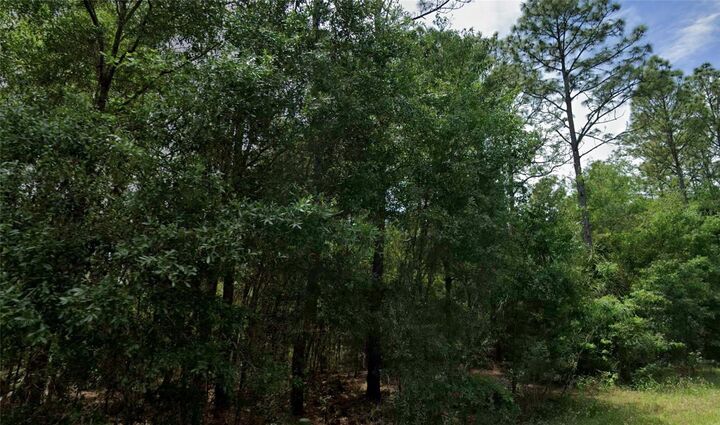 Property Photo: 864 W Bannister Drive FL 34434