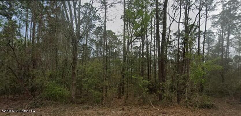 Property Photo: 0 Aila Street MS 39525