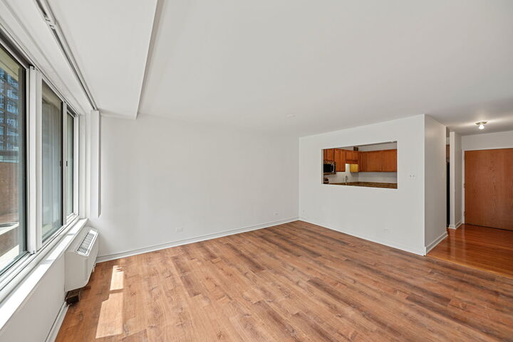 Property Photo:  211 E Ohio Street 719  IL 60611 