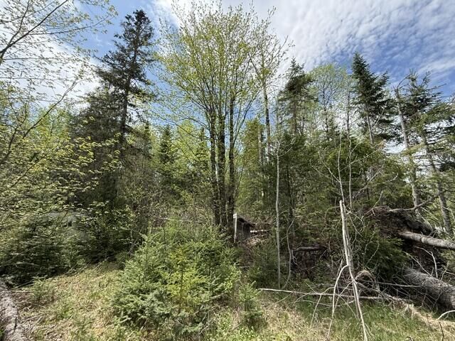Property Photo: 390 Woodland Road ME 04668