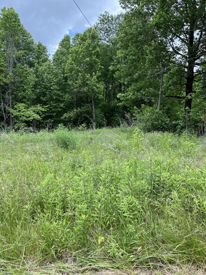 Property Photo: 349 Fire Tower Rd TN 37387