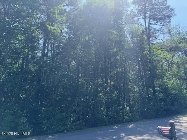 Property Photo:  20 Timuquana Trail  NC 28374 