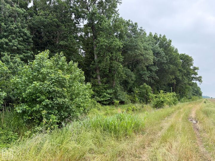 Property Photo:  30 Big Creek Watershed  AR 72404 