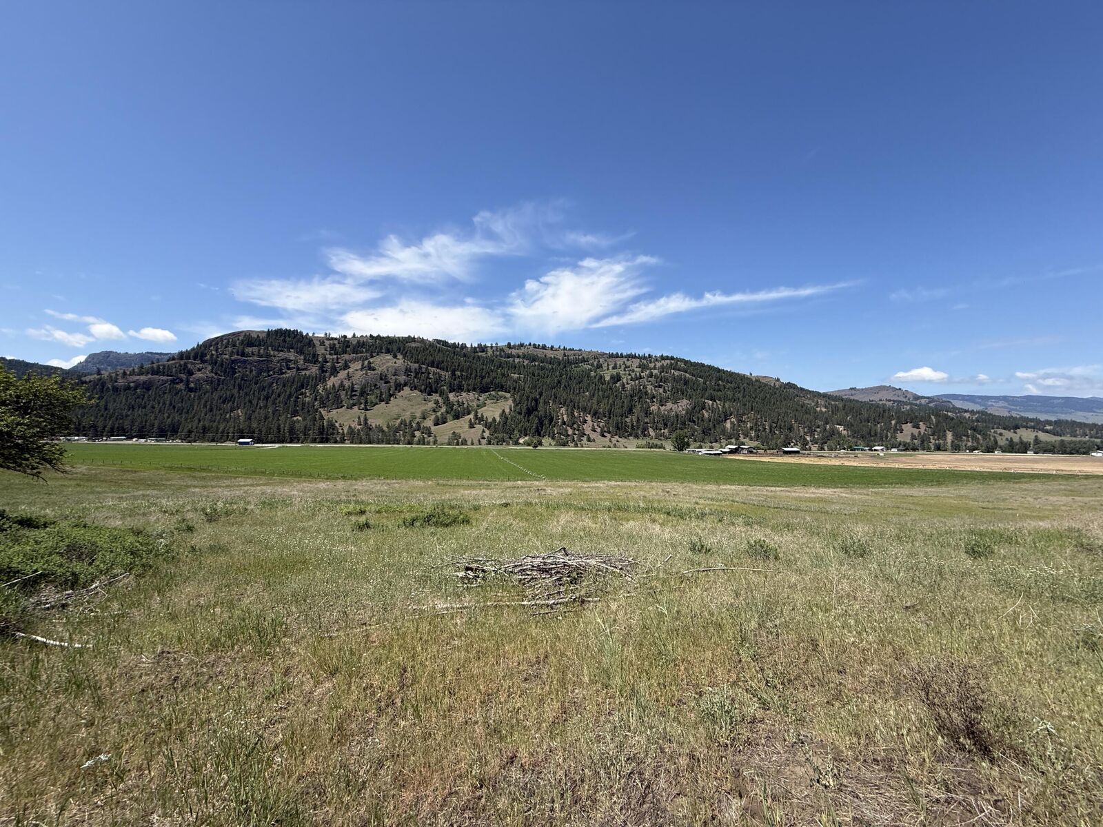 Property Photo: Tbd Art Creek Rd WA 99150