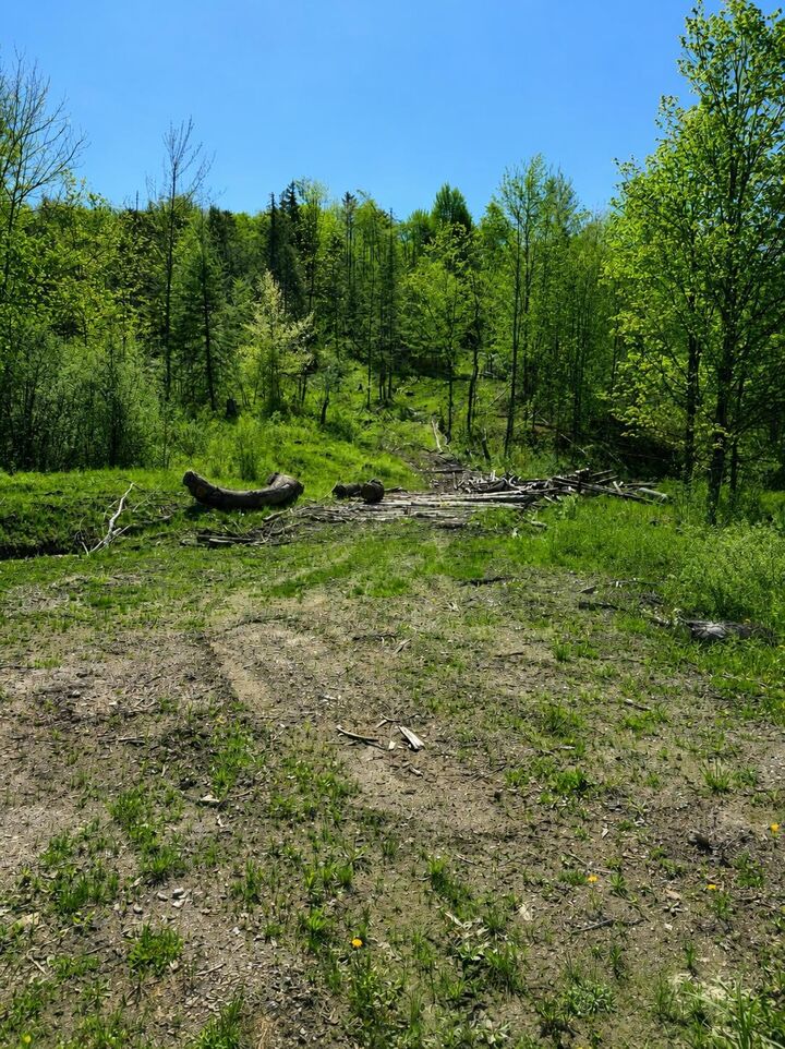 Property Photo:  0 Blake Hill Road  VT 05681 