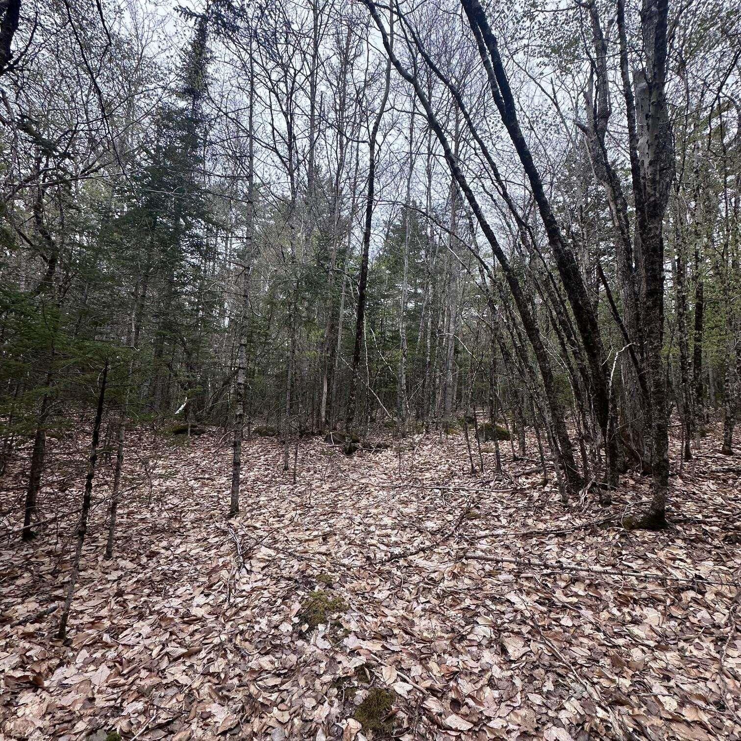 Property Photo:  Lot 10 Moose Pit Road  NS B0T 1B0 
